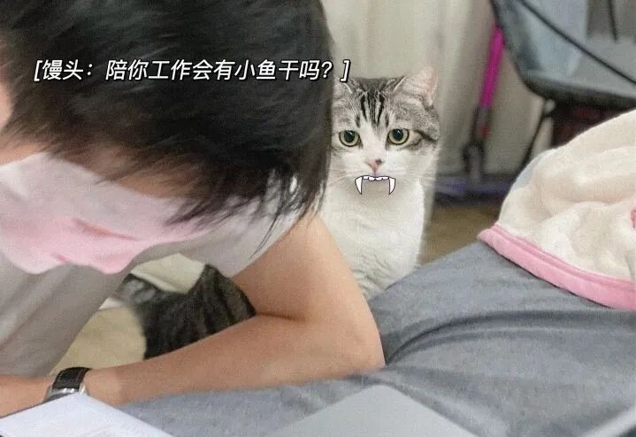 Soul发糖合集第一批来啦！细数广场上那些记录甜甜恋爱的瞬间